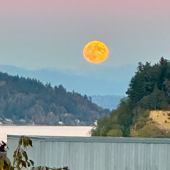 Meet your Posher, Lori ann - Picture 1 of 1